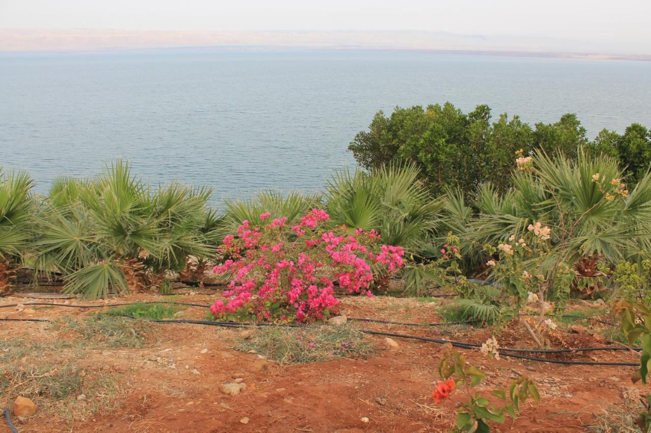 Samarah Dead Sea Resort Studio-Cp6 Traveler Award 2023 Winner Thursday, Friday And Saturday Groups Consisting Solely Of Male Guests Are Not Permitted Sweimeh Eksteriør billede